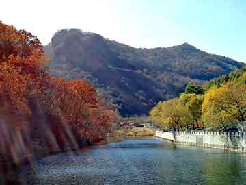 澳彩龙门客栈图资料	_24岁花样年华，胃癌无情降临——一位年轻女孩的自述与反思